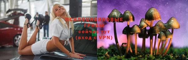 спиды Белокуриха