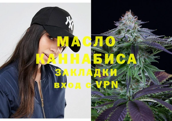 СК Пересвет
