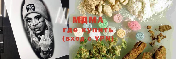 СК Пересвет