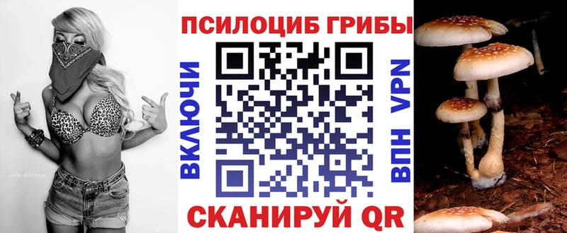 Псилоцибиновые грибы Psilocybe  Богданович 